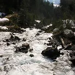Alphorn Bergnescht