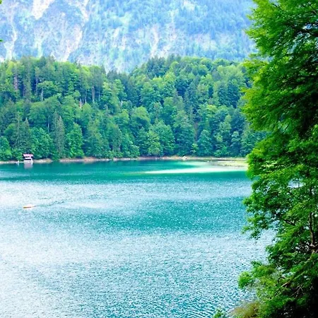 Alphorn Bergnescht * Oberstdorf