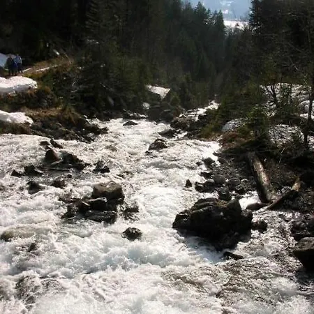 Alphorn Bergnescht