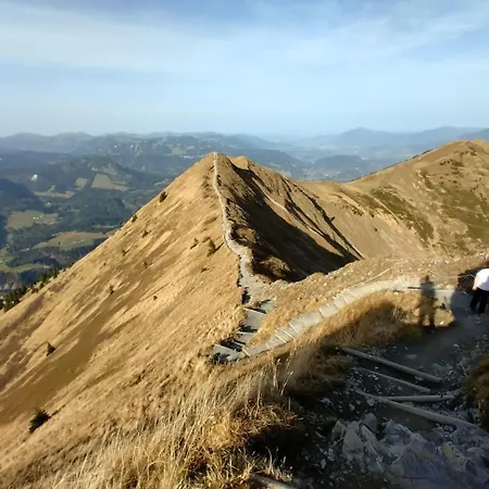 Alphorn Bergnescht *