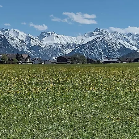 Alphorn Bergnescht *