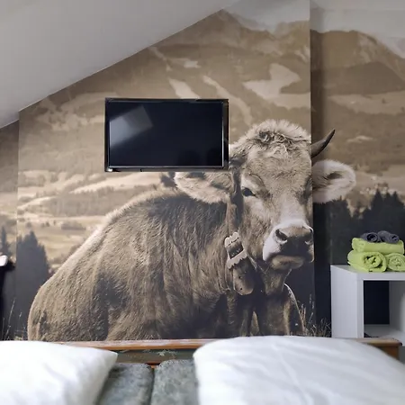 Alphorn Bergnescht Oberstdorf