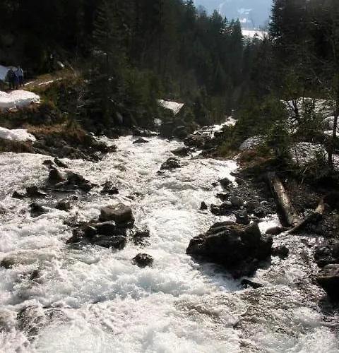 Alphorn Bergnescht