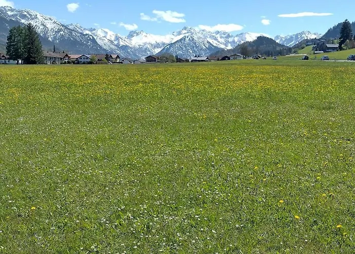 Alphorn Bergnescht Appartement