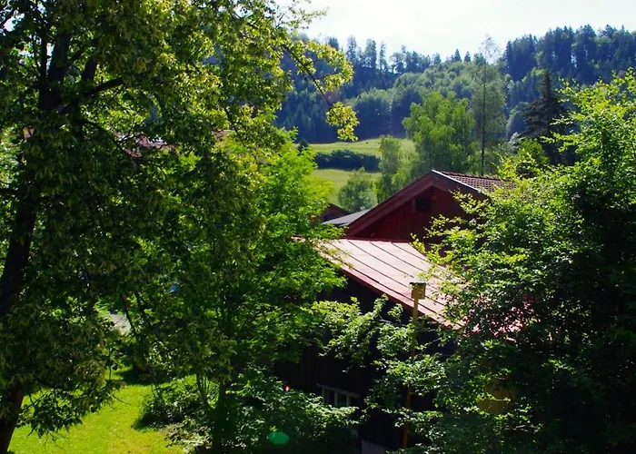 Alphorn Bergnescht Oberstdorf