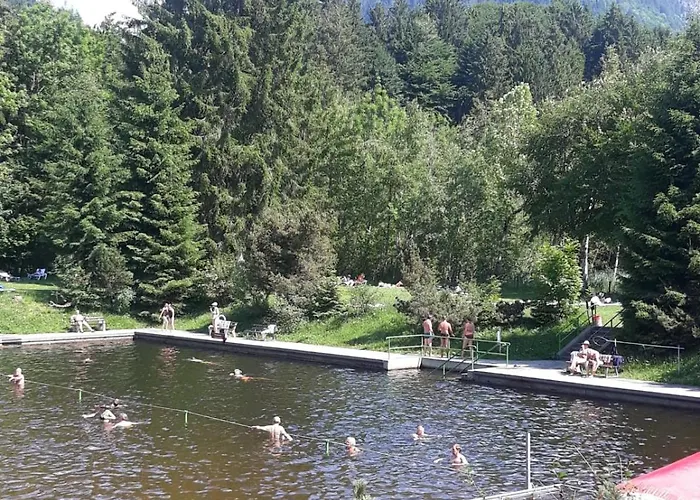 Alphorn Bergnescht Lejlighed Oberstdorf
