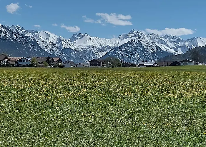 Alphorn Bergnescht *